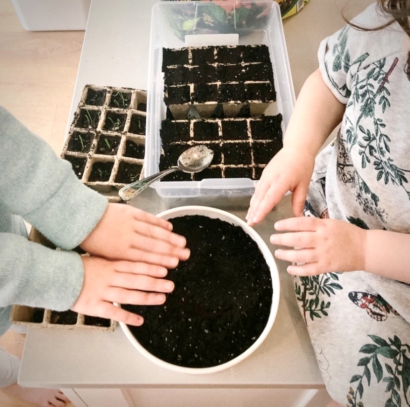 kids hand gardening