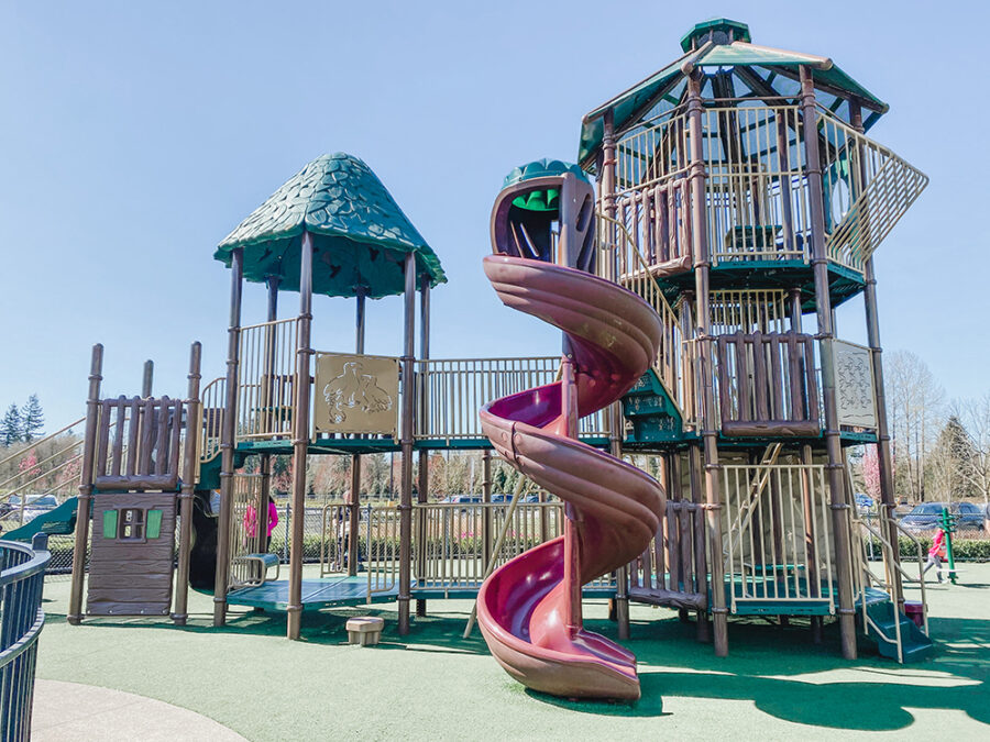 The Best Playgrounds in the Fraser Valley