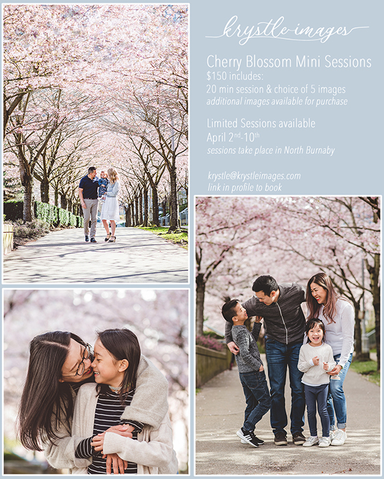 family-photos-cherry-blossom-background