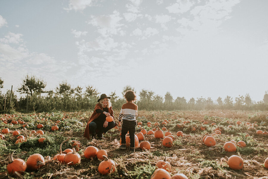 Pumpkin Patches in Metro Vancouver 2022