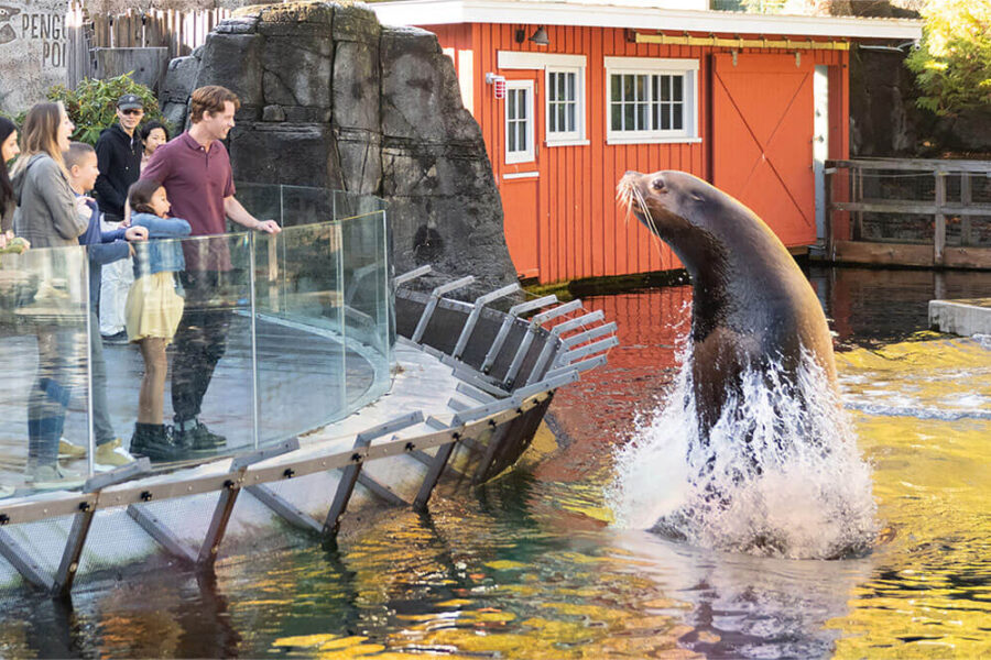 Vancouver Aquarium Vancity Kids Directory