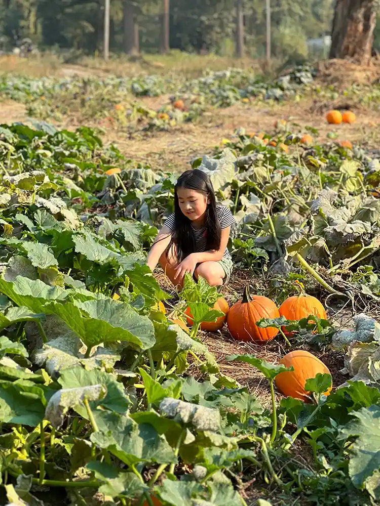 pumpkin patch metro vancouver