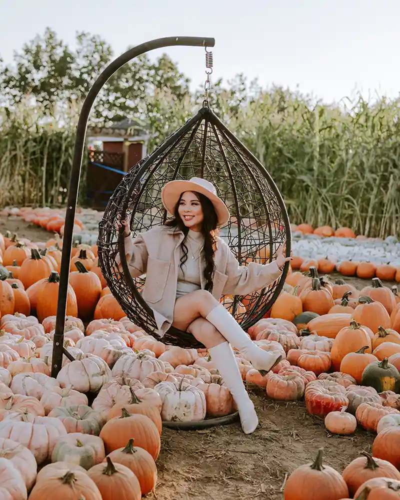 pumpkin patch metro vancouver