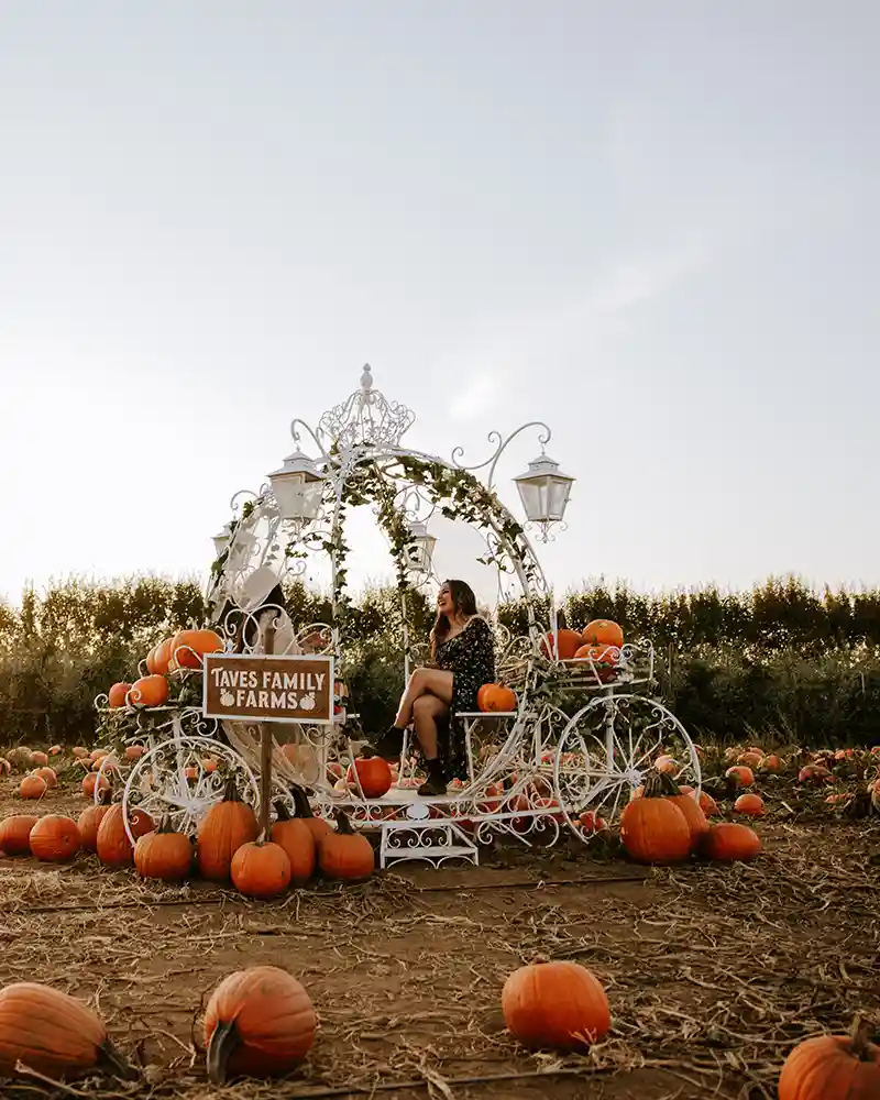 pumpkin patch metro vancouver