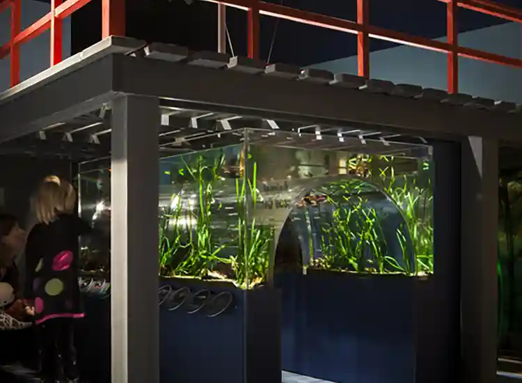 Indoor Playground Vancouver Aquarium