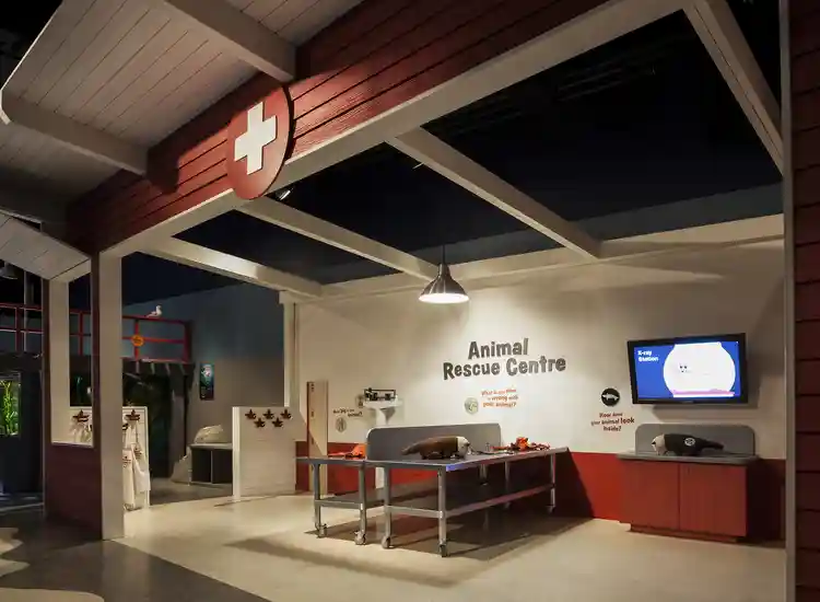 Indoor Playground Vancouver Aquarium