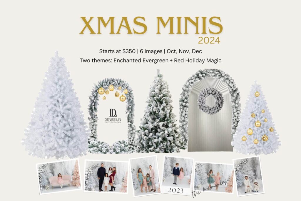 Christmas Minis Denise Lin