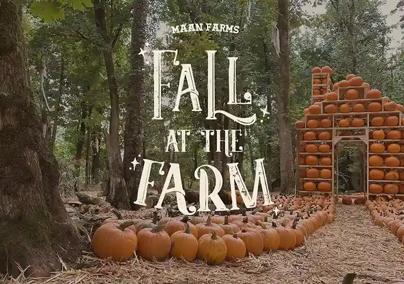 Maan Farms