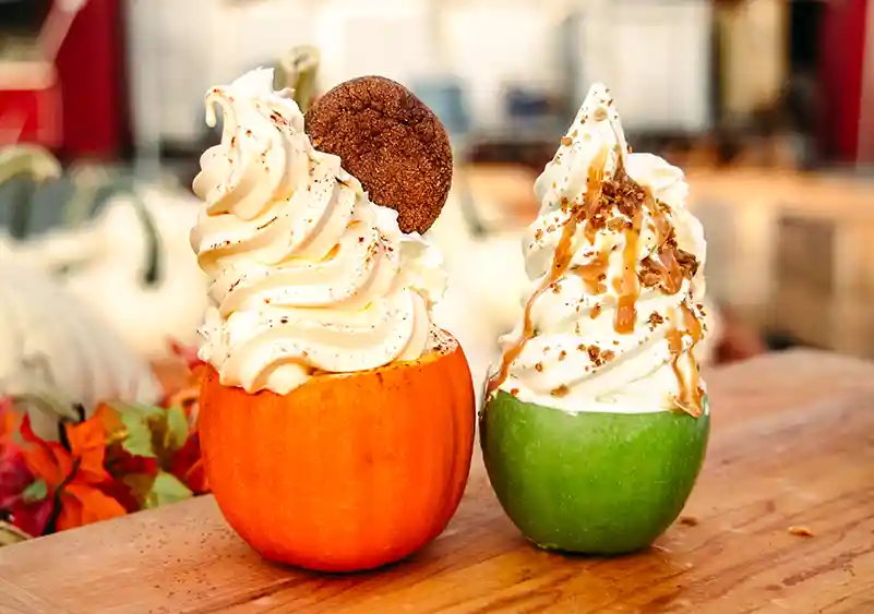 family friendly pumpkin patches