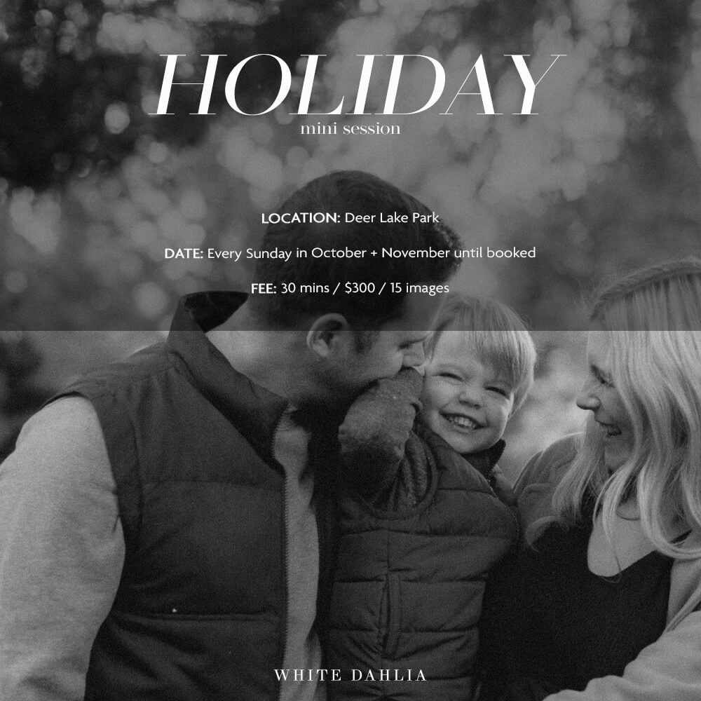 White Dahlia Studios Holiday Photography