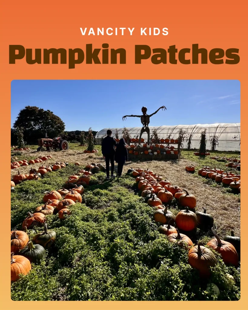 Pumpkin Patches