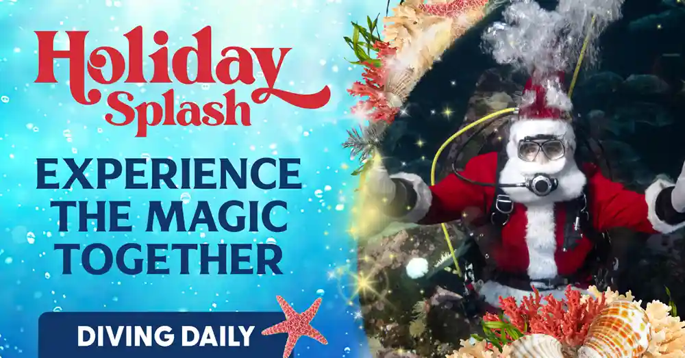 Holiday Splash Christmas Events