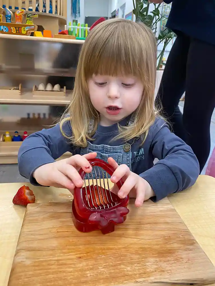 Westside Montessori School