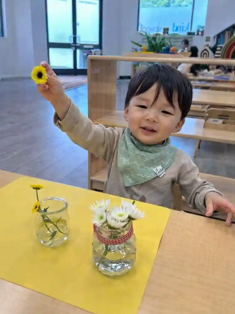 Westside Montessori School