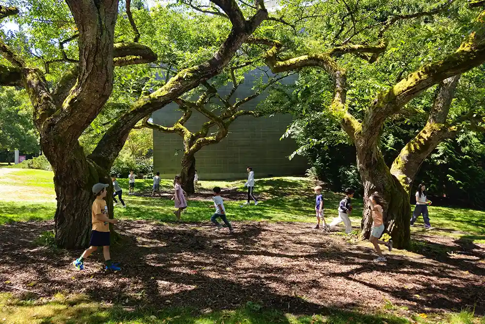 Summer Camps Chan Centre