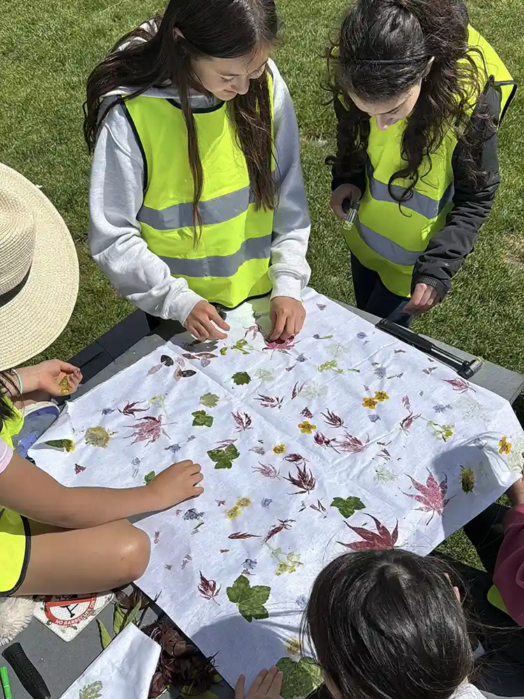 Yoho Explorer Youth Academy Summer Camps in North Vancouver