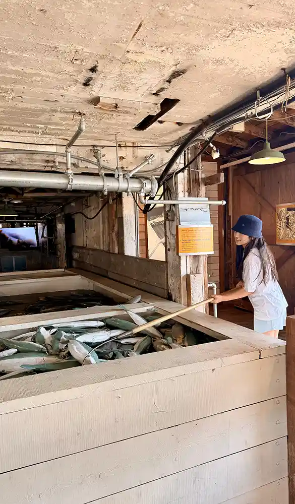 Gulf of Georgia Cannery Society