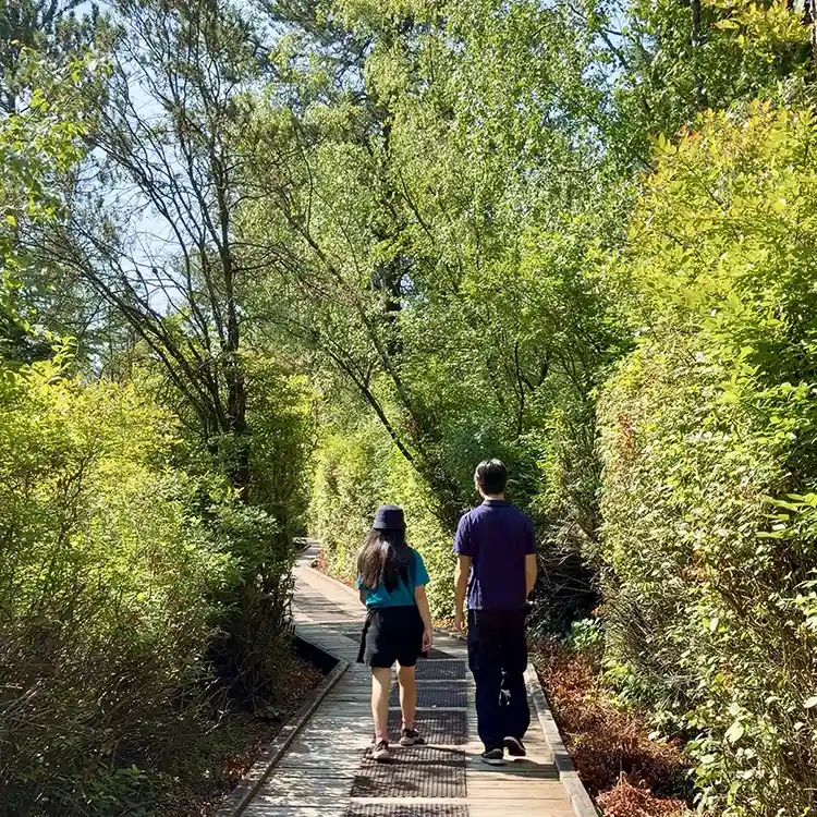 free things to do with kids in Metro Vancouver Richmond Nature Park