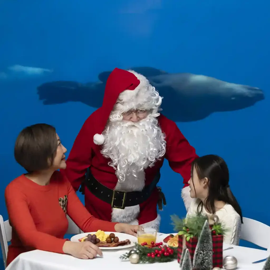 Christmas and Holiday Events in Metro Vancouver 2026